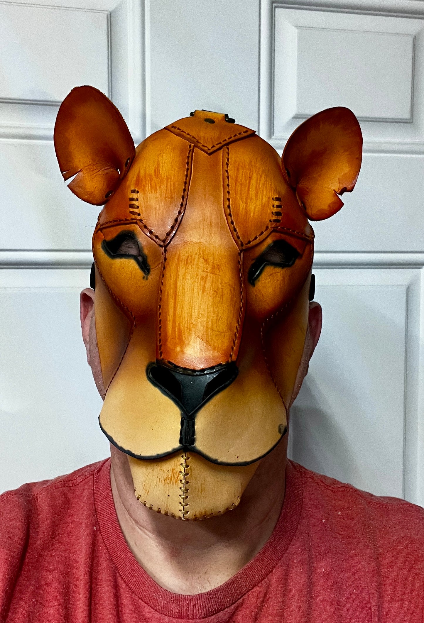 Lion leather mask